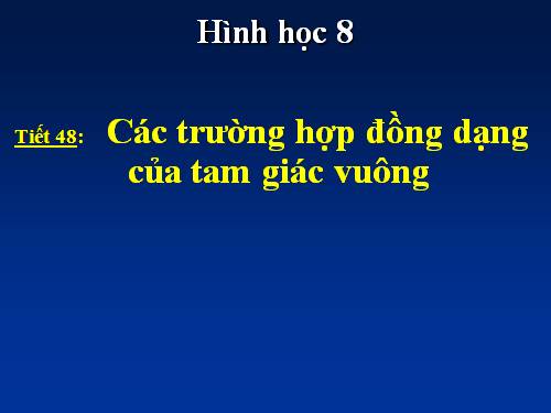 Chương III. §8. Các trường hợp đồng dạng của tam giác vuông