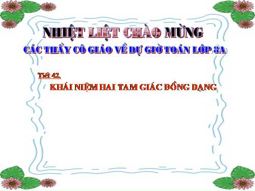 Chương III. §4. Khái niệm hai tam giác đồng dạng