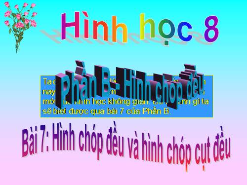 Chương IV. §7. Hình chóp đều và hình chóp cụt đều