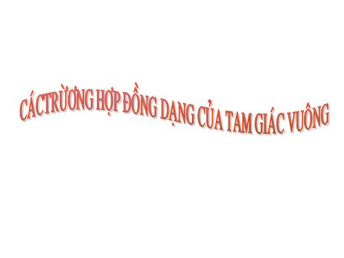 Chương III. §8. Các trường hợp đồng dạng của tam giác vuông