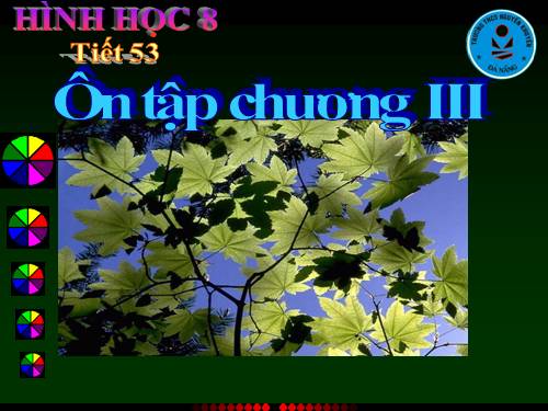 Ôn tập Chương III. Tam giác đồng dạng