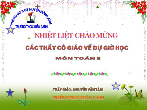 Chương III. §8. Các trường hợp đồng dạng của tam giác vuông