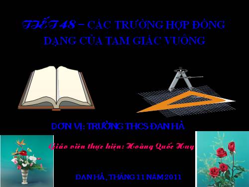 Chương III. §8. Các trường hợp đồng dạng của tam giác vuông