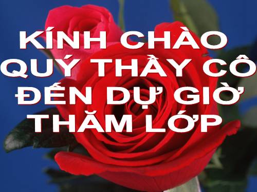 Chương II. §3. Diện tích tam giác