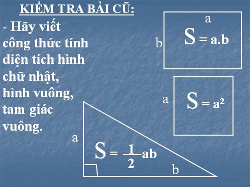 Các bài Luyện tập