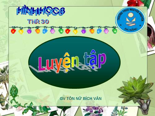 Các bài Luyện tập