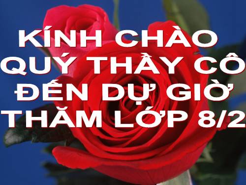 Chương II. §3. Diện tích tam giác