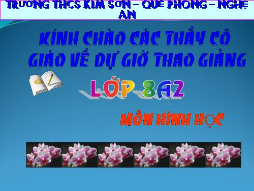 Chương II. §2. Diện tích hình chữ nhật