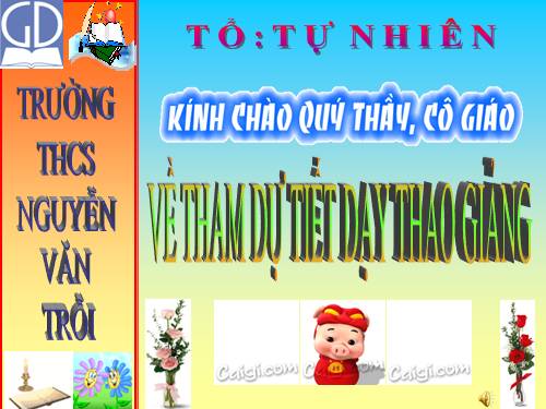 Chương II. §1. Đa giác. Đa giác đều