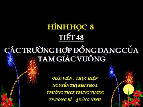 Chương III. §8. Các trường hợp đồng dạng của tam giác vuông