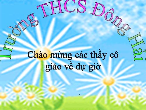 Chương II. §2. Diện tích hình chữ nhật