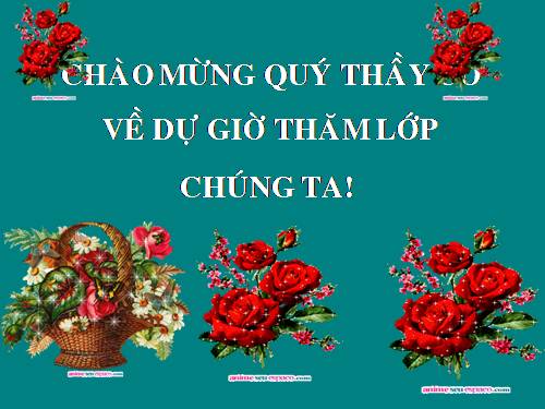 Chương II. §2. Diện tích hình chữ nhật