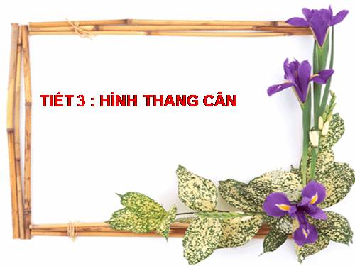 Chương I. §3. Hình thang cân