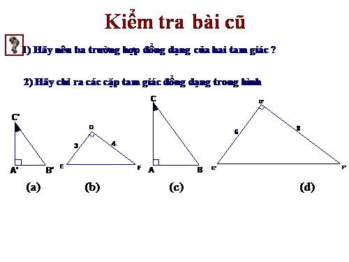 Chương III. §8. Các trường hợp đồng dạng của tam giác vuông