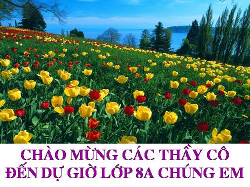 Các bài Luyện tập