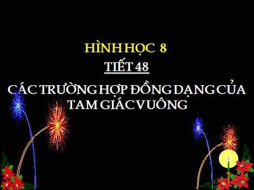 Chương III. §8. Các trường hợp đồng dạng của tam giác vuông