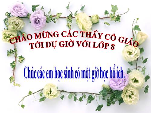 Chương III. §8. Các trường hợp đồng dạng của tam giác vuông