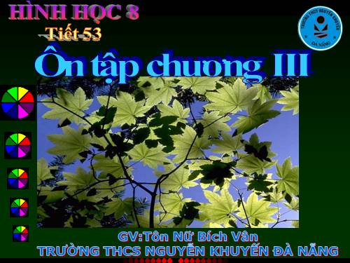 Ôn tập Chương III. Tam giác đồng dạng