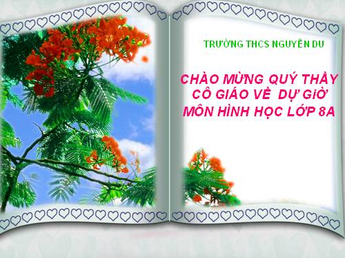 Chương IV. §1. Hình hộp chữ nhật