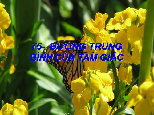 Chương I. §4. Đường trung bình của tam giác, của hình thang