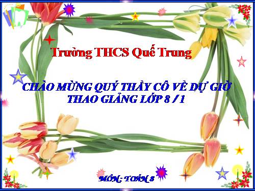 Chương III. §4. Khái niệm hai tam giác đồng dạng