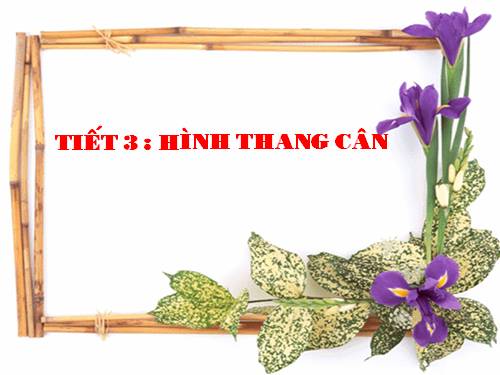 Chương I. §3. Hình thang cân