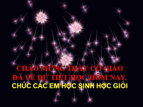 Chương III. §6. Trường hợp đồng dạng thứ hai