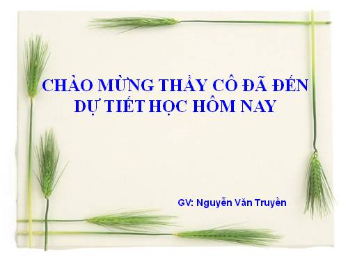 Chương III. §7. Trường hợp đồng dạng thứ ba