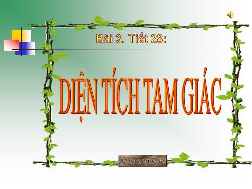 Chương II. §3. Diện tích tam giác