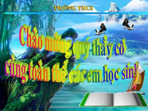 Chương IV. §7. Hình chóp đều và hình chóp cụt đều