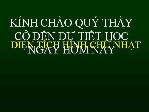 Chương II. §2. Diện tích hình chữ nhật