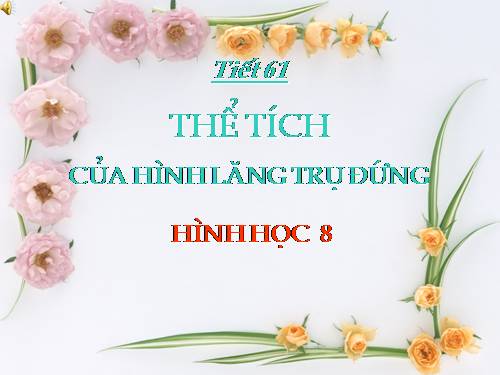 Chương IV. §6. Thể tích của hình lăng trụ đứng