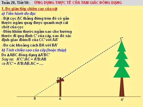 Chương III. §9. Ứng dụng thực tế của tam giác đồng dạng