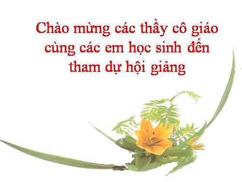 Chương I. §12. Hình vuông