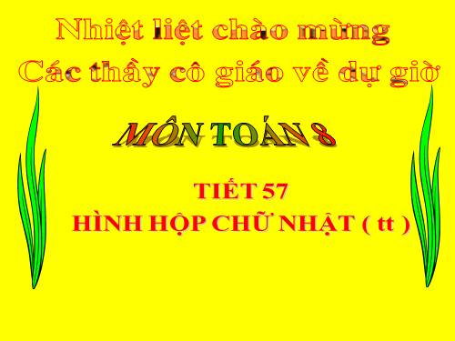 Chương IV. §2. Hình hộp chữ nhật (tiếp)