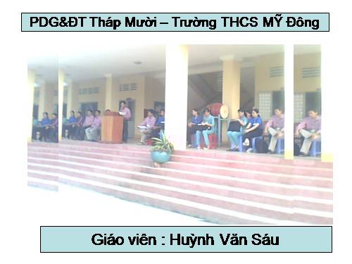 Các bài Luyện tập