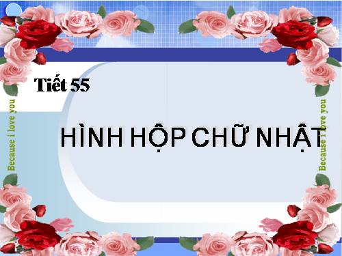 Chương IV. §1. Hình hộp chữ nhật