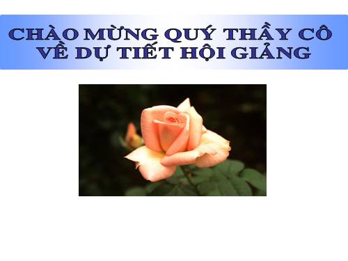 Chương III. §9. Ứng dụng thực tế của tam giác đồng dạng