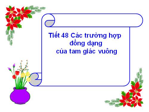 Chương III. §8. Các trường hợp đồng dạng của tam giác vuông