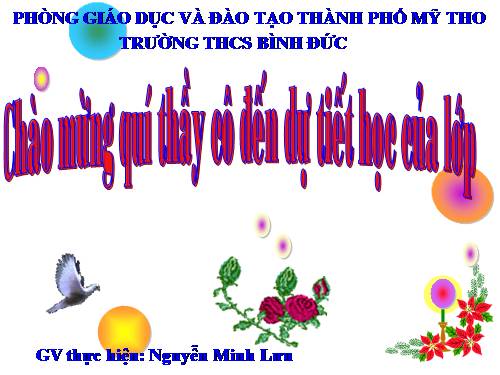 Chương III. §8. Các trường hợp đồng dạng của tam giác vuông