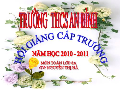 Chương II. §2. Diện tích hình chữ nhật