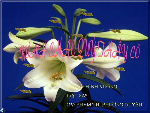 Chương I. §12. Hình vuông