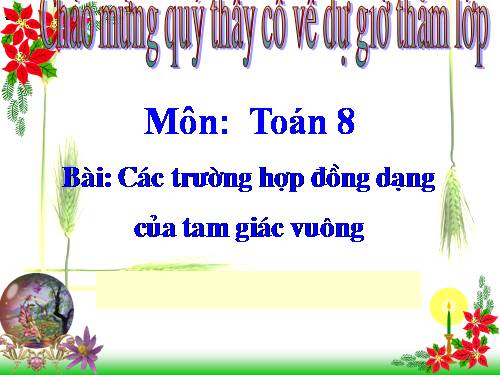 Chương III. §8. Các trường hợp đồng dạng của tam giác vuông