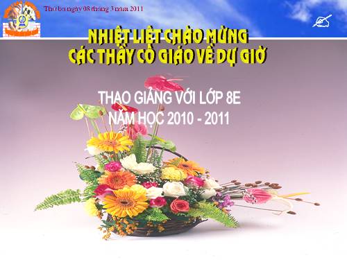 Chương III. §8. Các trường hợp đồng dạng của tam giác vuông