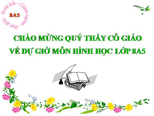 Chương III. §8. Các trường hợp đồng dạng của tam giác vuông