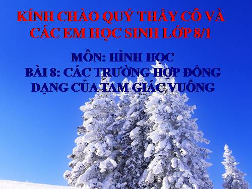 Chương III. §8. Các trường hợp đồng dạng của tam giác vuông