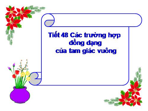 Chương III. §8. Các trường hợp đồng dạng của tam giác vuông