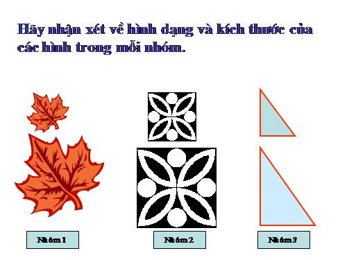 Chương III. §4. Khái niệm hai tam giác đồng dạng