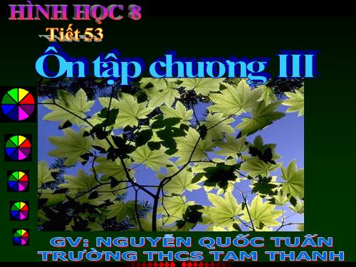 Ôn tập Chương III. Tam giác đồng dạng