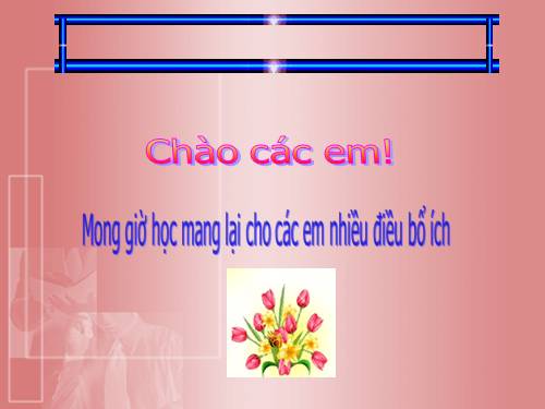 Chương III. §7. Trường hợp đồng dạng thứ ba